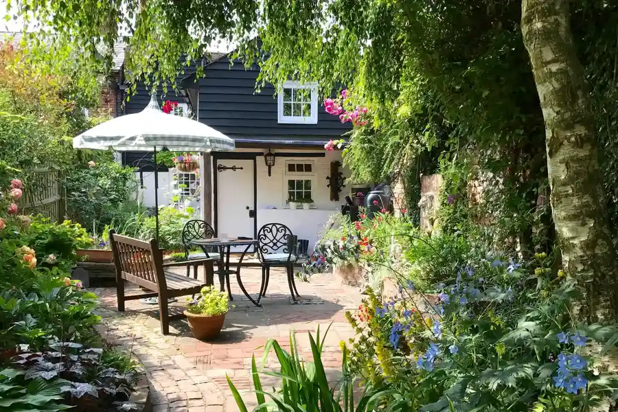 Professional Tree Care